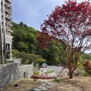 7 | [충북/제천] 레스트리 리솜 여행 &amp; 주변 맛집 후기 (7개월 아기랑 즐거운 여행)