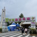 스포츠타운길 | 김천 / 2026 김천 포도 축제🍇 2일차 후기