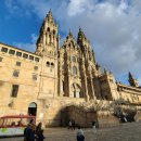 콤포스텔라 이미지