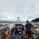 Memento | Seize the day &amp; Memento Mori (Feat.워크샵 후기)