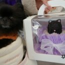 꾸밤꾸밤 이미지