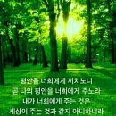 무지개 동산 이미지