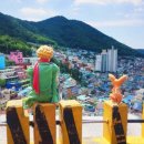 감천할매칼국수 이미지