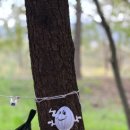 광주시민의숲 야영장 이미지