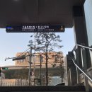 소공지하쇼핑센터 | 종로피부과 바디온다 리프팅 팔뚝 내돈내산 후기