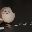 효양중학교 이미지