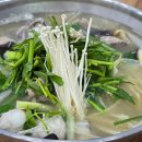 으뜸독 | 제주 으뜸복어 노형동 맛집 참복 복지리 추천