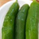 송죽원추어탕메기매운탕 이미지