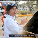 쉐프케이크
