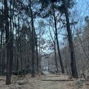 구룡산 | 서울 대모산·구룡산 등산 후기 | 초보자도 가능한 힐링 명소