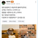 가히애견 이미지