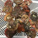 바다그리다 이미지