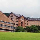 한티 Daum카페