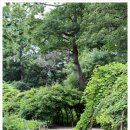 광릉5일장 이미지