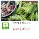 선화농장 이미지