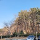 솔마루길 대공원산 | 솔마루길 2코스-3코스(법원-대공원남문)