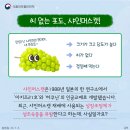 성샤인 이미지