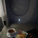 736 | China Eastern Airlines 중국 동방항공 비즈니스 후기 MU736 기내식 시드니 공항 스카이팀 라운지