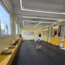 쾌적한 내부 미끄럼 걱정없는 바닥 50평 규모의 실내애견카페 '네모난강아지' 방문후기
