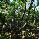 임천농장 이미지