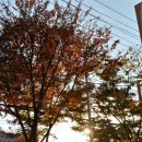 KT만수지점 이미지