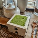 항남5길 | 통영 찻집 &#39;해옥&#39; 일본식 가옥 카페 내돈내산 후기