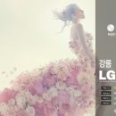 강릉베스트샵