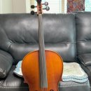 첼로 중급(성인) 이미지