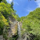 유통단지 산업용재관 31동 앞 | [대구/북구 맛집] 연화정 삼계탕 방문 후기, 기본 연화정 삼계탕