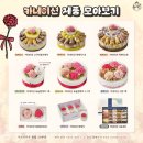 하루케이크