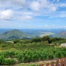 하늘구니 이미지