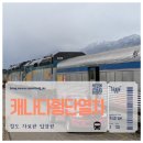City Car Service | 캐나다 VIA RAIL 횡단열차 벤쿠버에서 록키산맥까지