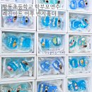 반지평생교육센터 | 학교 학부모연수 출강｜레진아트 바다 반지홀더 만들기(항동주민센터) 성인 힐링 프로그램 연수 기업...