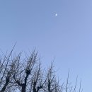 와플군 요거트양 이미지