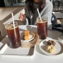 댕큐베리 이미지