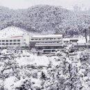 수안보파크호텔 이미지