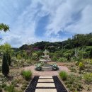 남이초등학교 | [충북/청주] 감성카페 녹담 솔직후기｜청주 온실 식물 카페 추천·메뉴·분위기·인테리어·좌석·주차...