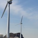 탄도항 누에섬 펜션 이미지