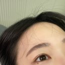 칠성관광㈜ | [대전] 탄방동 속눈썹펌 뷰티바이밍