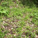 별숲 농장 이미지