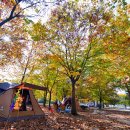 화양동거리_1 이미지