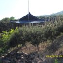 백련약수터 이미지