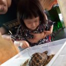 띠울아쿠아 | 대전아쿠아리움 할인 받기 및 방문 후기