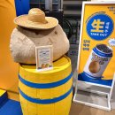 감자(GAMJA) | 감자맥주 GAMJA BEER 구입후기 감자아일랜드 부산 센텀 팝업스토어(+ 옥수수맥주)