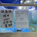 태양수산활어회 이미지