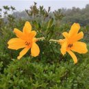 노고단-4 이미지