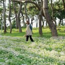 그렇게 다시 이미지