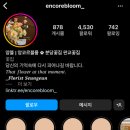 앙코르블룸