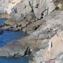 고무장갑과 고구마 이미지