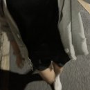 윤 마스터 태권도 | 9월